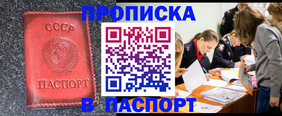 прописка для школы в Чудово